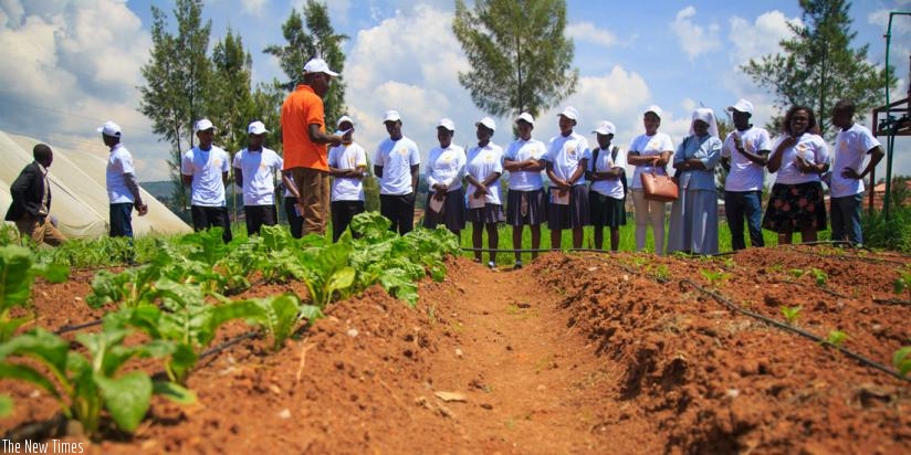 Students participating in the Farming is Cool project. (Timothy Kisambira)