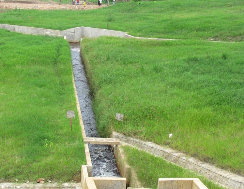 Irrigation channels have been constructed and are now ready for use. (S. Rwembeho)