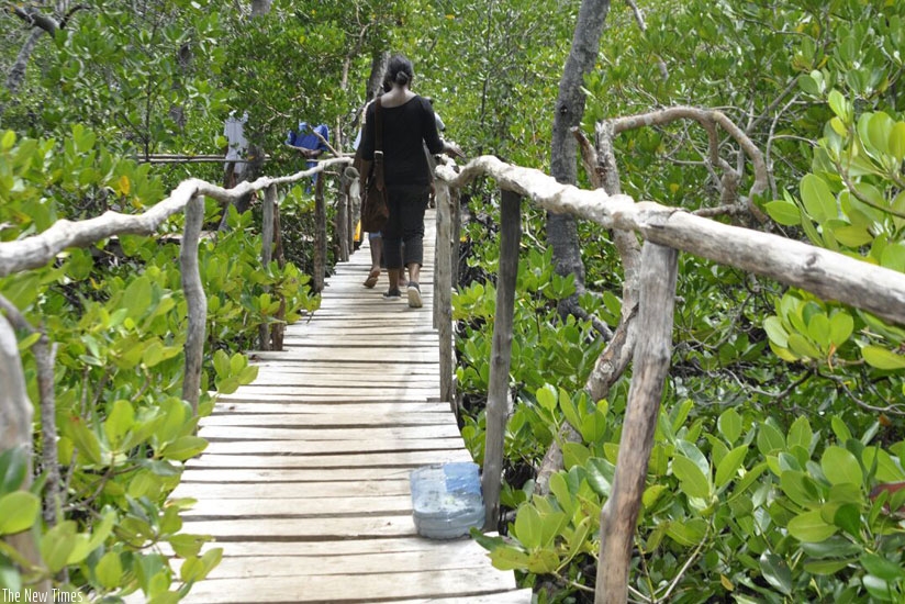 One of the trails developed by the Watamu community using environmental-friendly approaches ensures sustainable tourism development. (S. Idossou)