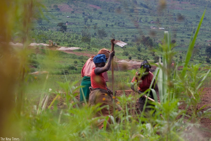 Farmers in Ruryaraya in Rwamagana District till their land.  The 216/17 EAC Budget will prioritise the enhancement of productivity and value addition in key productive sectors, including regional agriculture. (File)
