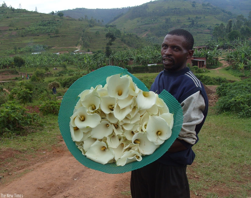 Promoting floriculture is one of the strategies government is using to boost exports. (File)