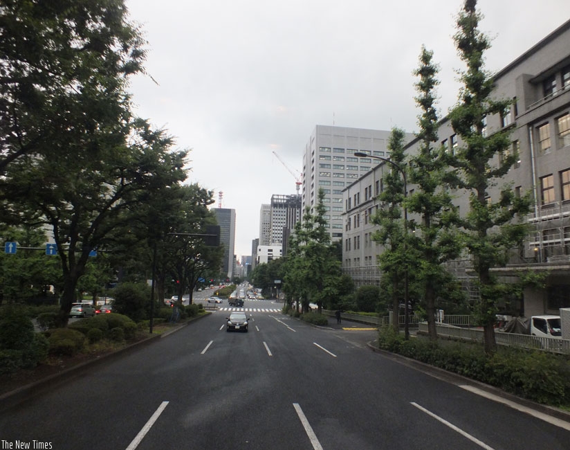 A green street in Tokyo, Japan. Urban planners need to emphasise green development. (Peterson Tumwebaze)