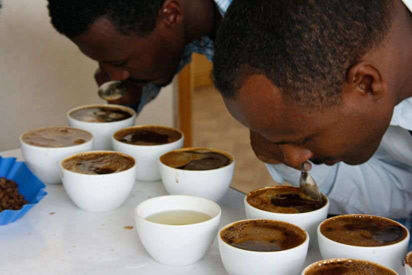 Coffee tasting during a barrister competition. (Internet)
