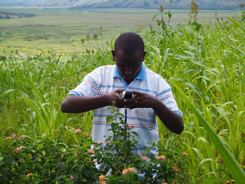 One of Vanu Inc's workers tests data on the firm's site. Vanu targets to extend wireless connection to 300 rural locations countrywide. (Courtesy)