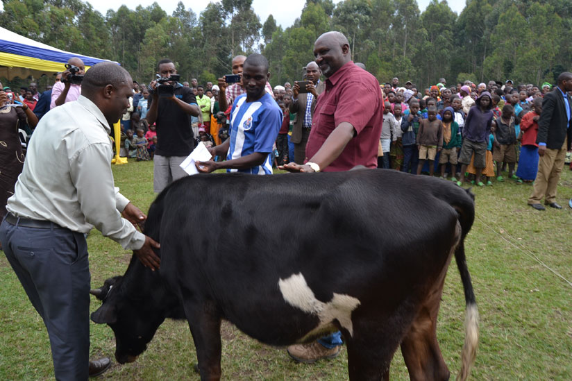 Paul Muvunyi (right) and Musanze distict Mayor Jean Claude Musabyimana hand a cow to one of beneficiaries. (Jean d'Amor Mbonyinshuti)