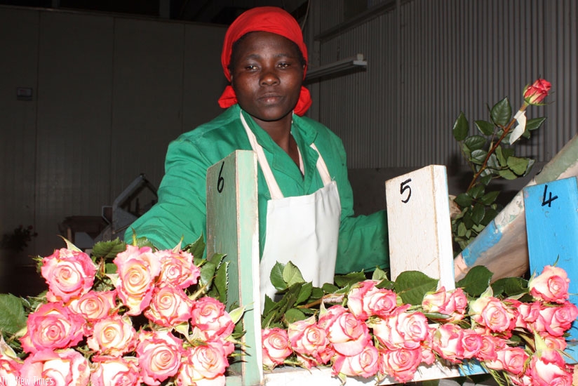 Kenya exports over 30% of its flowers and horticulture produce to Europe. / File.