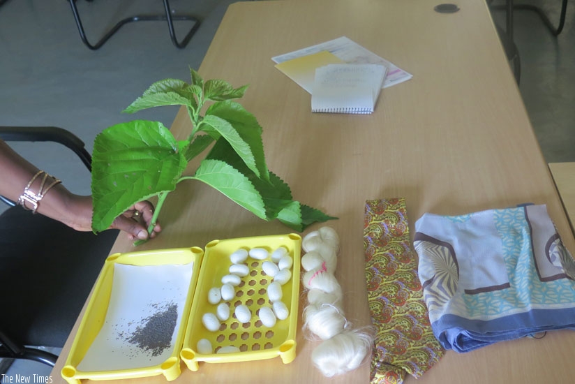 Mulberry, silkworm eggs and silk products. Rwanda introduced silk farming about 10 years ago. 