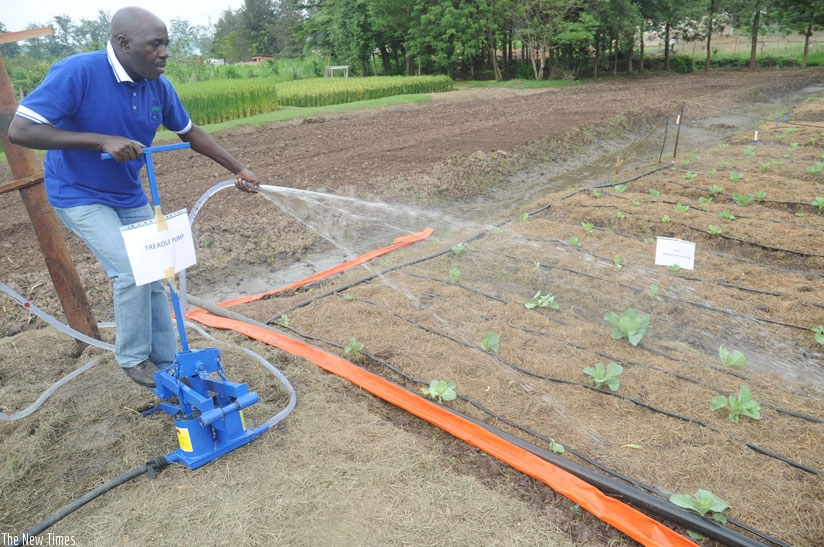 A farmer demonstrates how to irrigate using a treadle pump at a past agriculture exhibition. (File)