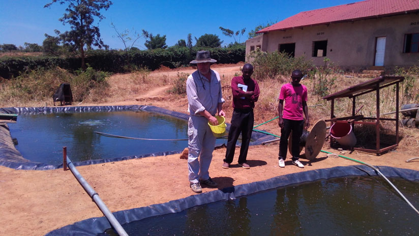 Shaw feeding fish in Bugesera. (Pontian Kabeera)