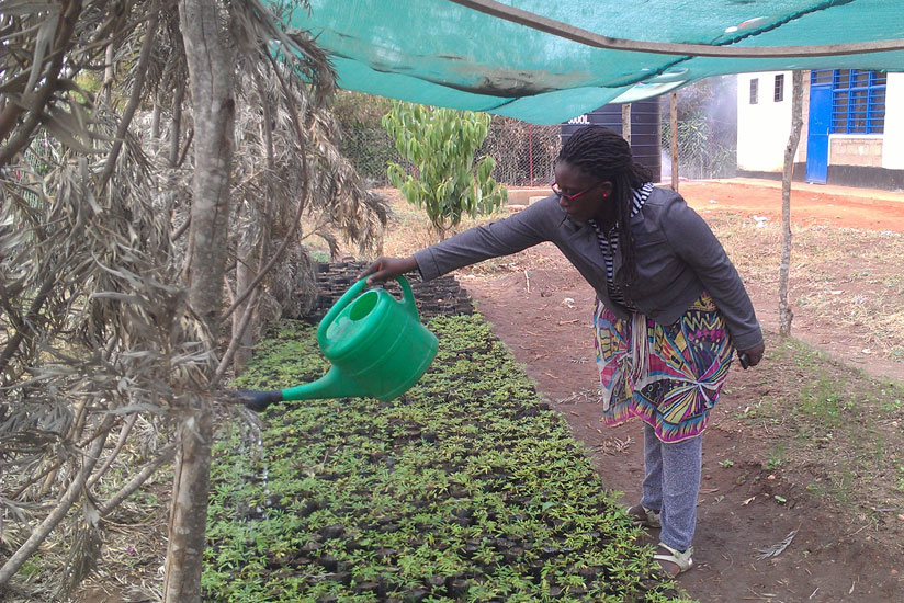 Caritas Uwitonze, a teacher at GS St Vincent de Paul Rwamagana Catholique, irrigates seedlings at the school tree nurseries. / Frederic Byumvuhore