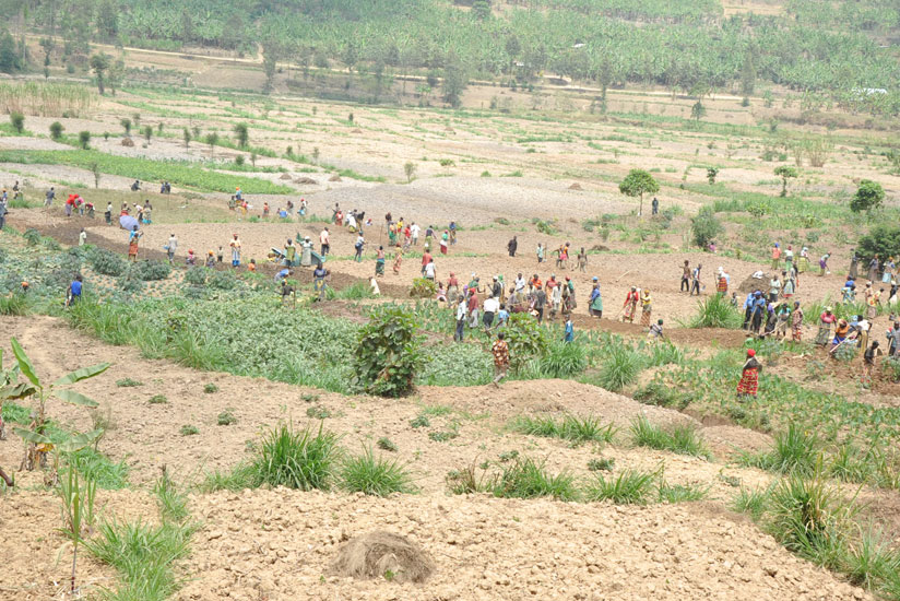 Gakenke residents terrace land during Umuganda last month. / Pontian Kabeera.