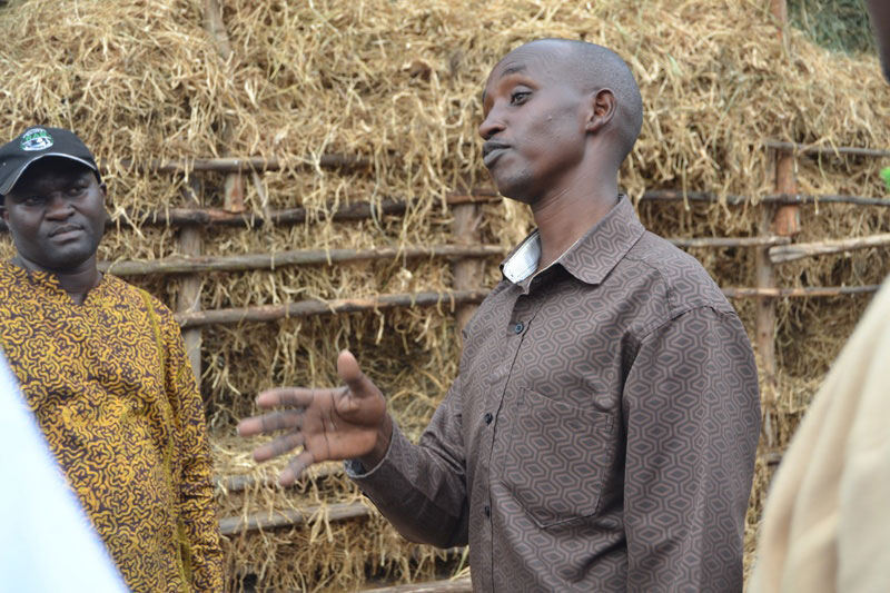 Rwabushayija explains how bean silage (in the background) helped him increase milk production at his ranch. / Kelly Rwamapera.
