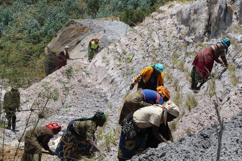 Mukura sector residents help to restore a buffer zone around Gishwati-Mukura National Park. The park has been affected by illegal mining. / File.