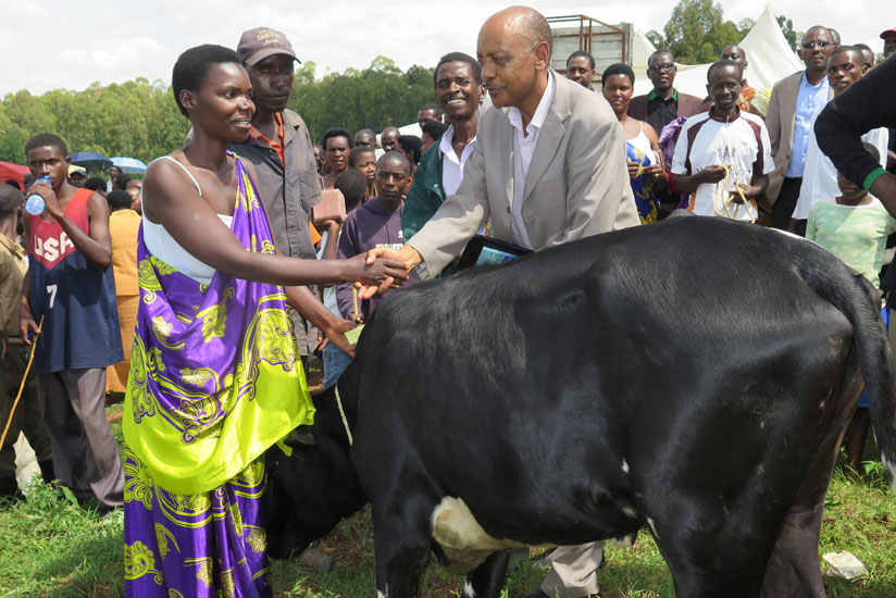Dr. Theogene Rutagwenda (R), handing over a cow to a beneficiary during the Girinka cow donation activity in Huye District last week. / Emmanuel Ntirenganya