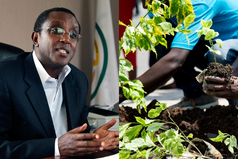 Minister Biruta speaks during a past interview with The New Times. 