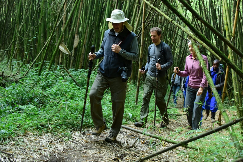 Tourists trek during the Kwita Izina event last month. RDB says it is working on developing Airbnb service to open accommodation options for tourists and other travellers into the ....