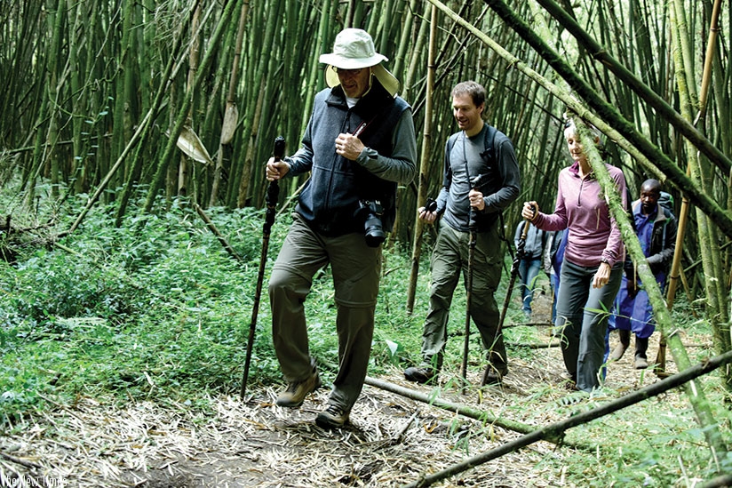 Tourists trek during the Kwita Izina event last month. RDB says it is working on developing Airbnb service to open accommodation options for tourists and other travellers into the ....