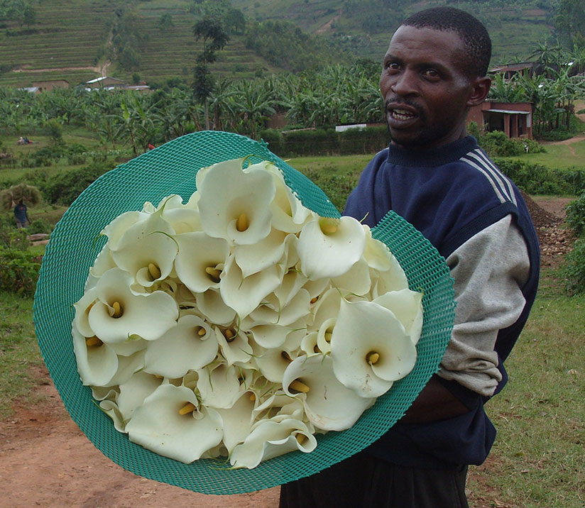 The region needs to increase exports to reduce trade imbalance.