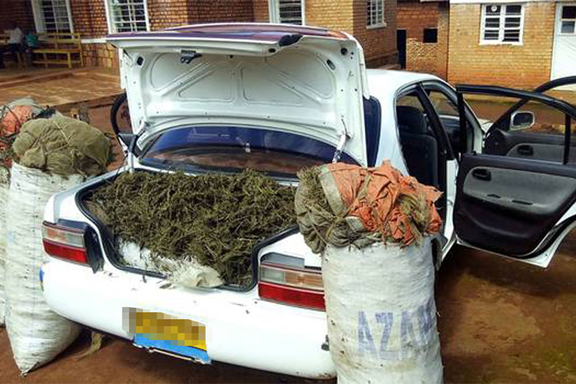 A vehicle impounded for trafficking in drugs. Many owners of such vehicles are said to remain on the run to avoid arrest, leaving their vehicles with Police. / Net