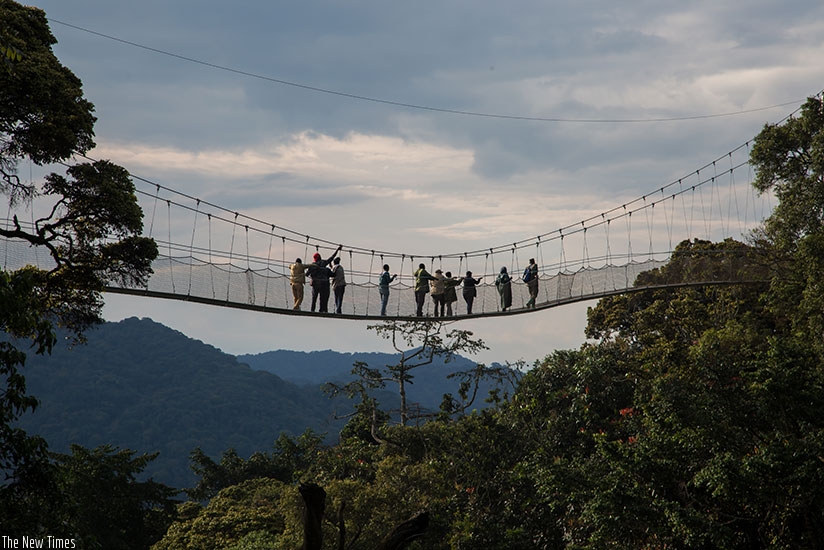 Tourists on a canopy walk in Nyungwe forest. (T. KIsambira)