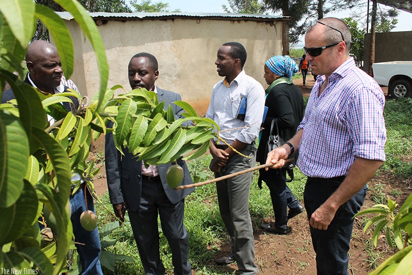 Amb. Feakes (R) and other officials inspect mango trees in the demonstration plot. (John Mbaraga.)