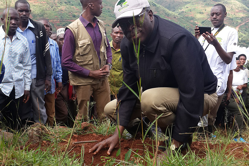 Prime Minister Anastase Murekezi plants a tree on a hillside near Lake Muhazi in Gicumbi District, yesterday. Murekezi encouraged people to use gas as fuel for cooking and lighting in a bid to protect the environment. / Courtesy