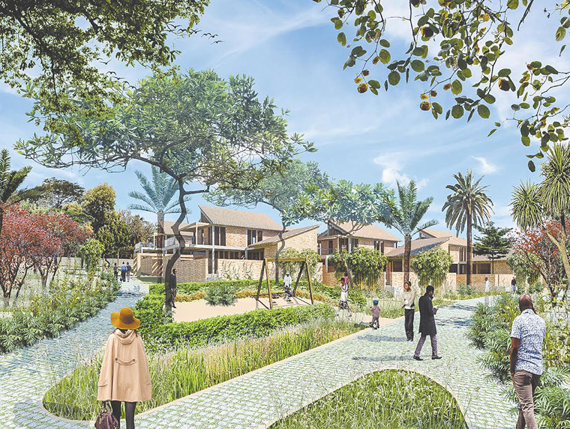 Cactus green house project.