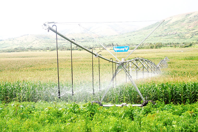 Pivot center irrigation technology is one of the ways used to water plantations in model farms. It is one of the methods that Rwanda is looking at to achieve a green economy by 2050. / File