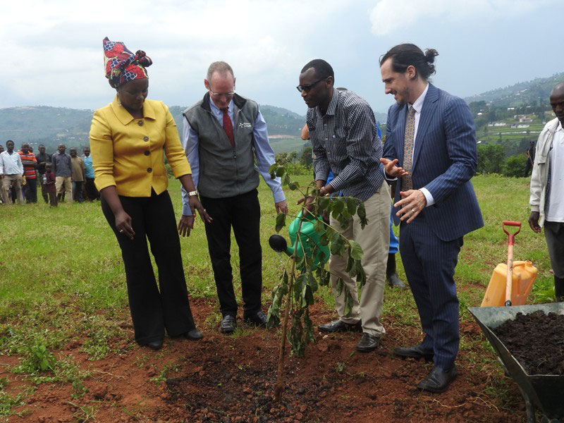 Minister Musafiri and other official plant a tree at the launch of the construction of a new medical school at Butaro. / Francis Byaruhanga