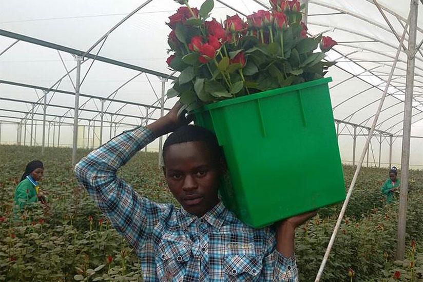 Promotion of flower growing is one of the interventions aimed at increasing export receipts.