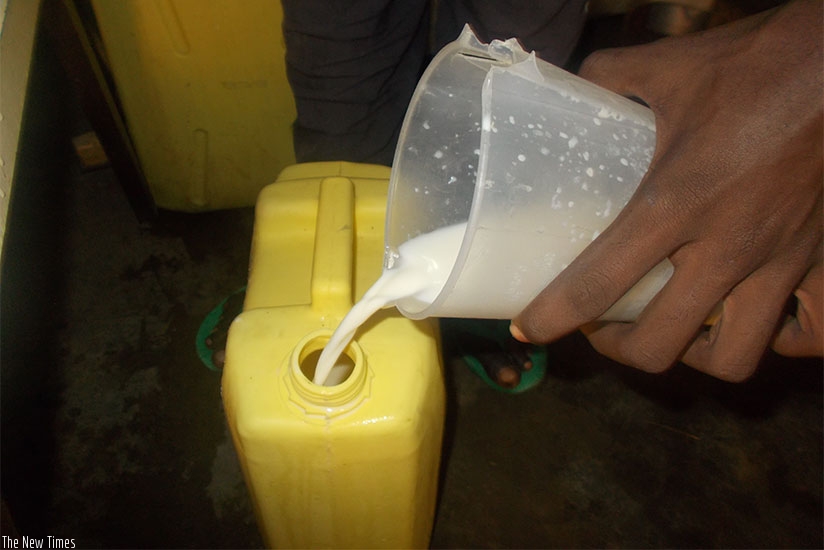 Transporting or using jerry cans as milk containers contravenes regulations. / Elias Hakizimana.  