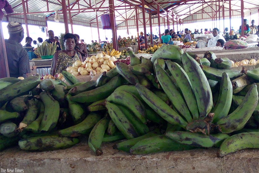 Banana prices have almost doubled in Ngoma.  (Appolonia Uwanziga)
