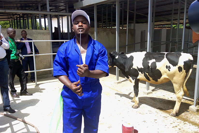Sylver Murwanashyaka, a veterinarian from Rwamagana District, prepares semen to artificially inseminate a cow at Mulindi Agri-show grounds in Gasabo District during a past training....