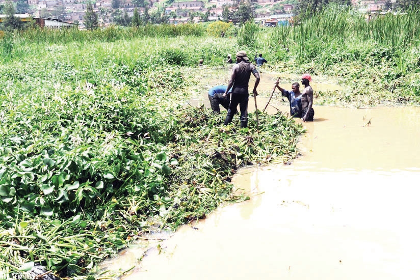 Wetlands in Rwanda are under pressure from poor agricultural practices, peat extraction, illegal mining, pollution, dumping of waste, construction activities and illegal infrastruc....