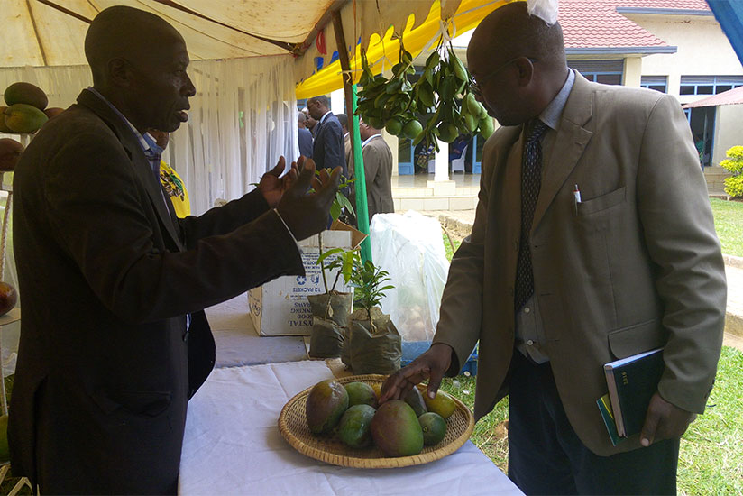 A farmer explaining about fruit growing during an exhibition in Bugesera District, December 29, 2016. / Emmanuel Ntirenganya