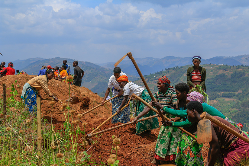 Financing Agriculture will boost economic development.  File