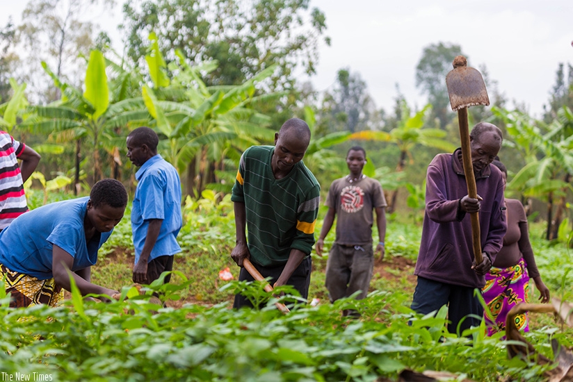 Farmers at work in Kicukiro District. File.