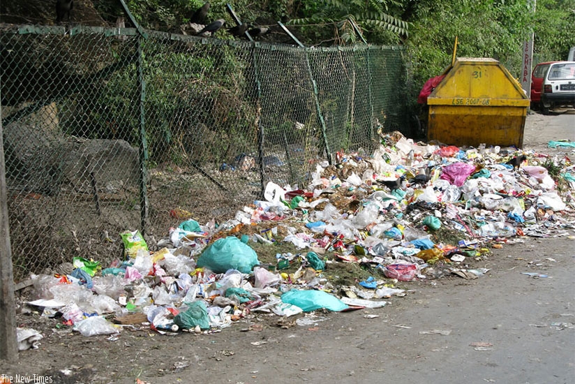 Polyethylene bags are known to amass in landfills, litter streets, obstruct sewer systems and hurt marine life. Net photo.