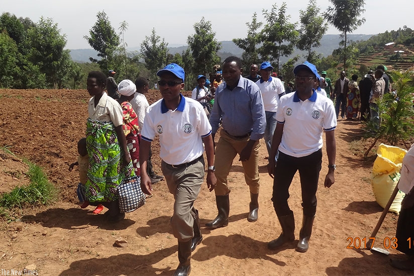 RAB officials participate in planting wheat seeds in Gicumbi District on Friday. Michel Nkurunziza. 