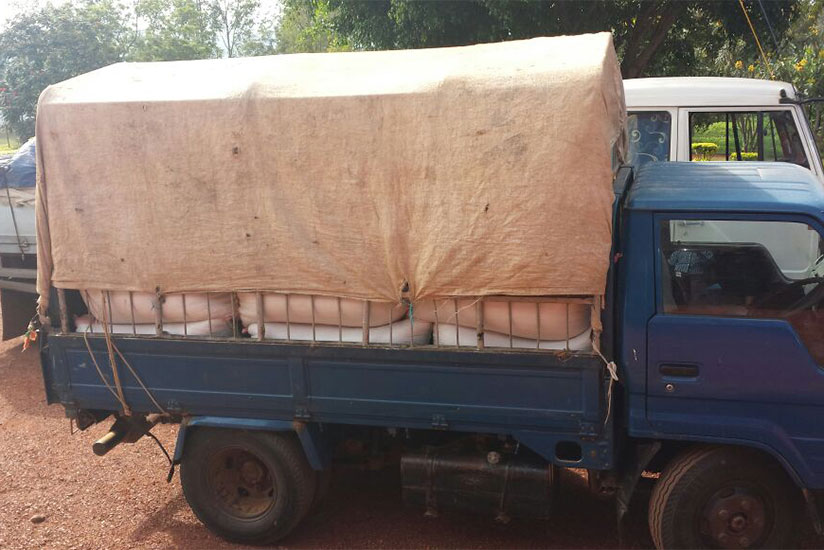34 tons of beans donated to Ngoma District by Nyagatare District. / Kelly Rwamapera