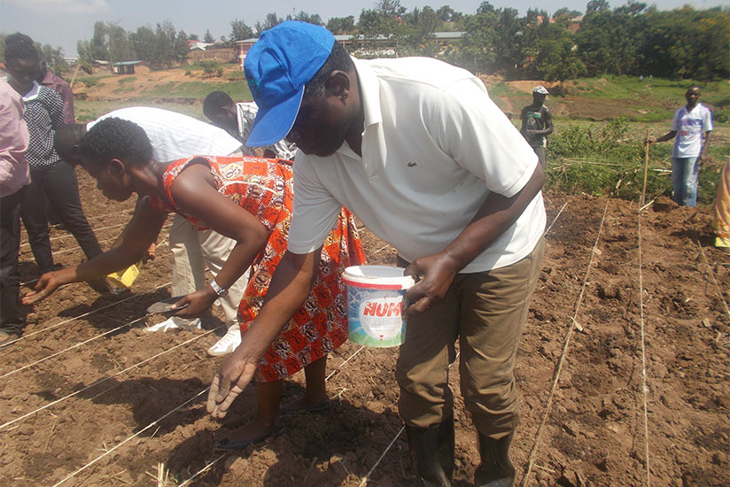 Nsengiyumva (R) joins farmers in Kajeke wetland in Kicukiro District as they sow vegetable seeds. / Elias Hakizimana