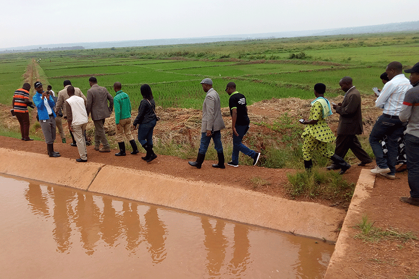 Officials tour Gashora marshland during the launch of the farming project. Steven Muvunyi.