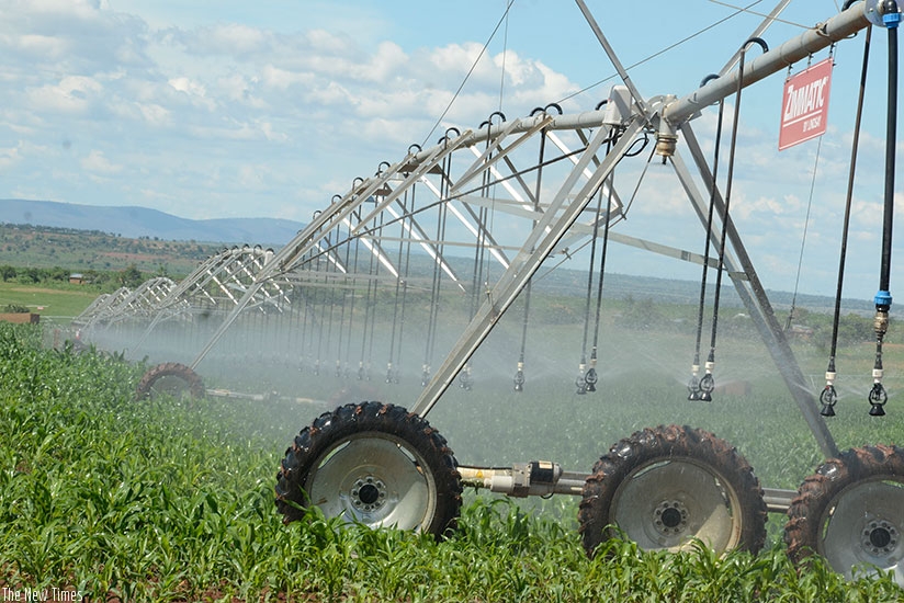 An irrigation system used to water crops in Kirehe District. File. 