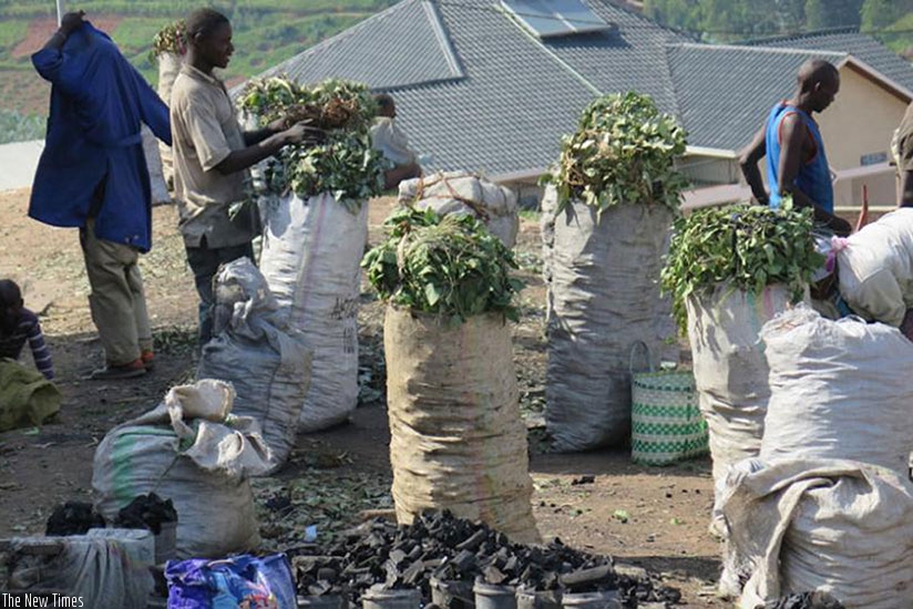 Charcoal on sale in Nyamagabe town. The south is the main source charcoal in the country. File.