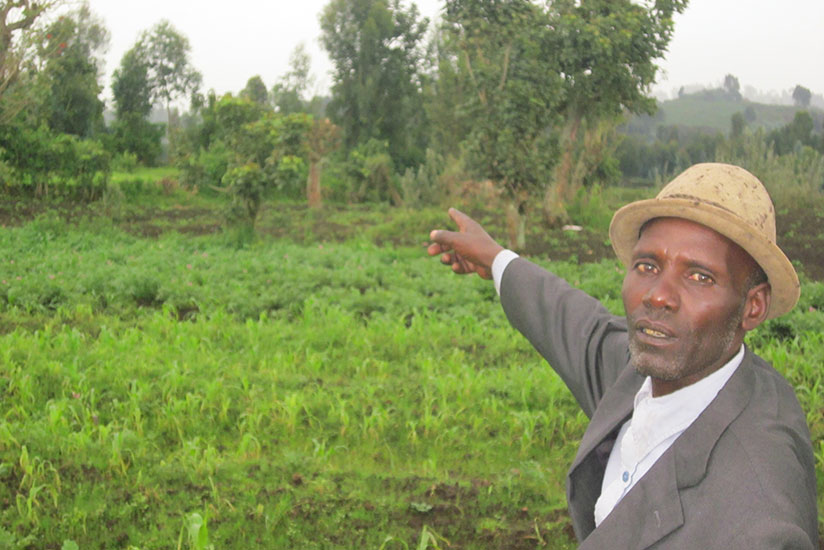 Kimbirima points at the land (overgrown with trees) where his relatives lived before they were killed in the Genocide. / Eugene Kwibuka