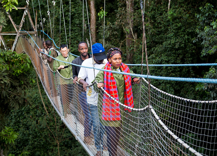 Local tourists on a 160m canopy in Nyungwe National Park during #TemberuRwanda campaign last year. / Faustin Niyigena