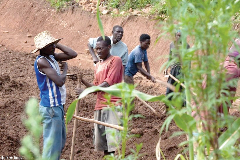 Farmers in Ruryarya, Rwamagana District till their land.. File. 