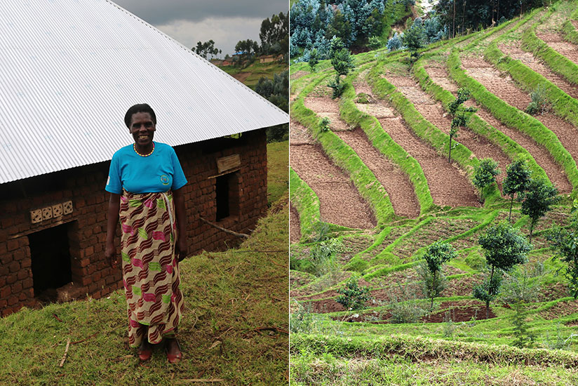 Nyirabarera in front of her house that is under construction. The farmer has embraced hillside terracing (right). She grows maize, Irish potatoes and beans. / Peterson Tumwebaze