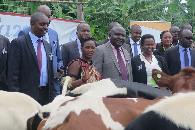 Equity Bank officials hand over the donated cows. / Eddie Nsabimana