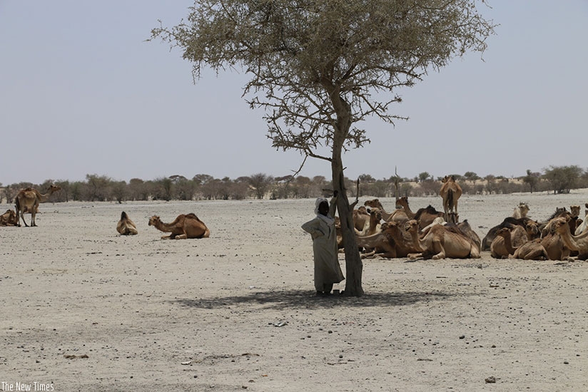 The Sahel has been battered by drought due to climate chang. Net photo.